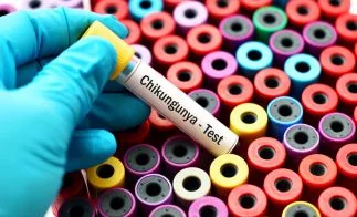 Dengue and Chikungunya
